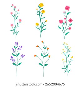 Artistic collection of colorful floral illustrations featuring six different designs on a white background. Includes plant stems with vibrant flowers and leaves, perfect for decorative or botanical-th