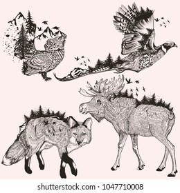 Artistic collection of hand drawn animals