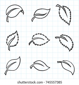 Artistic collection of hand drawn leaves set. Isolated and real pen sketch. Vector Illustration