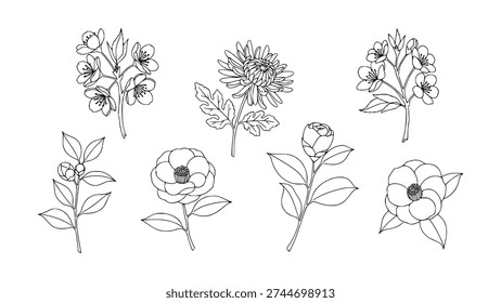 Artistic compilation of detailed line art floral elements, depicting different blossoms and branches with a clean, minimalist aesthetic for diverse creative uses