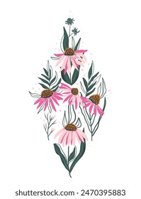 Artistic composition of blooming coneflowers with vibrant pink petals and contrasting orange-brown centers, interspersed with green foliage. Echinacea wildflowers. Vector hand drawn illustration.