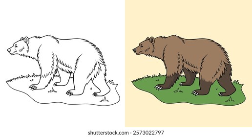 Artistic depiction of a large brown bear, shown in both colored and black-and-white versions on grassy ground. Perfect for educational, artistic, and wildlife-themed projects.