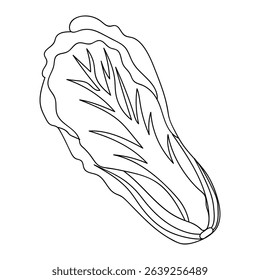 Artistic depiction of lettuce on a white background showcases the details of its leaves and shape