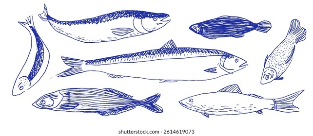Artistic doodles of various fish display a Mediterranean theme, captured in linear designs. The unique use of chalk and crayon adds an imaginative touch to the aquatic elements.