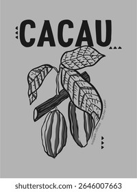 Desenho artístico de um cacau pod, ótimo para impressões com tema de chocolate, marca orgânica e eco-fashion.