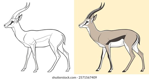 An artistic drawing showing a gazelle both in color and with outlines. Perfect for educational and artistic purposes.