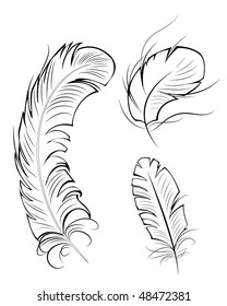 artistic drawn, contour, original three feathers on a white background.