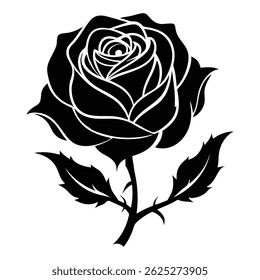 Artistic Floral Bloom Illustration Featuring Roses, Leaves, and Clean Contour Elements with Accurate Botanical Rose Anatomy