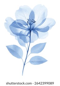 Artistic floral illustration of a delicate blue flower with translucent petals and leaves, ideal for design, decor, and backgrounds.