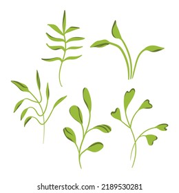 Artistic floral minimalist set. Isolated branch black silhouette. Modern shapes with leaves. Vector illustration.