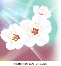 artistic flower background