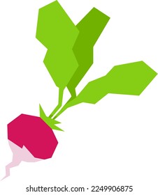 Artistic Geometric Radish Vector Illustration