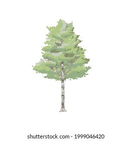 árbol verde artístico en primavera