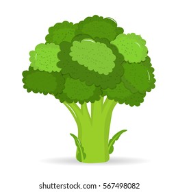 Artistic hand drawn broccoli illustration. Watercolor vegetable broccoli closeup isolated on a white background. Hand painting on paper