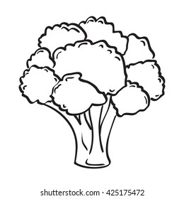 Artistic hand drawn illustration of broccoli, ink drawing imitation