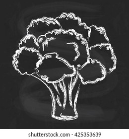 Artistic hand drawn illustration of broccoli, chalk drawing on chalkboard imitation