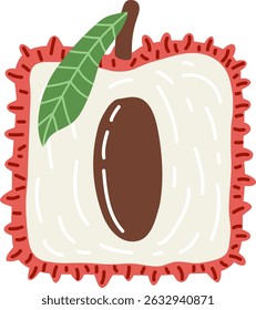 Ilustração desenhada à mão artística da lichia quadrada com folha. Desenho vetorial de metade do fruto exótico com semente e polpa isolada sobre fundo branco. Desenho de sobremesa vegana de verão para sua impressão.