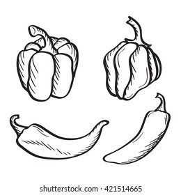 Artistic hand drawn sketches of hot chili, habanero and jalapeno peppers and paprika.