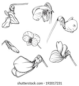 artistic hand drawn violet flowers