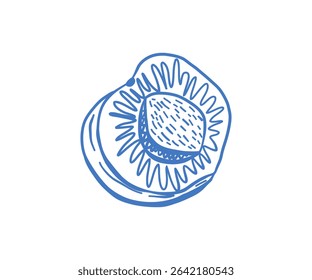 Artistic hand-drawn peach fruit, fresh and juicy, detailed botanical illustration, delicate lines in blue, Mediterranean summer vibe, natural food sketch