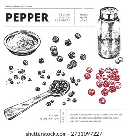 Artistic hand-drawn vector illustration of whole peppercorns and ground pepper. Textured vintage linework spice set for kitchen visuals, food branding, recipes, and packaging design.