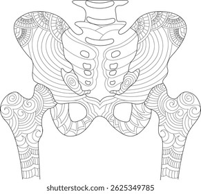 Artistic Human Pelvis and Femur Bones Line Art, Detailed line art illustration of the human pelvis and upper femur bones, rendered in an intricate, abstract, and artistic style suitable for medical,