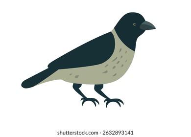 An artistic illustration of a bird featuring a blend of dark and light feathers