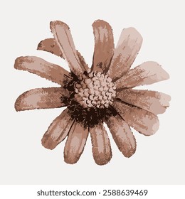 Artistic illustration of a daisy flower in sepia tones. The daisy flower has detailed petals and a textured center. Sepia tones give the daisy a vintage look. Vintage illustration isolated, vector.