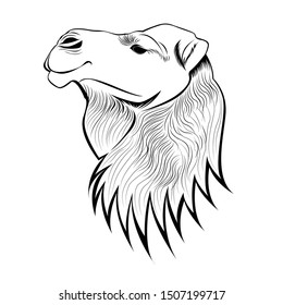 Artistic lined Camel Head Illustration