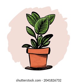 Artistic, markers sketch of the ficus tree or aspidistra houseplant, potted rubber fig plant circle icon, sticker, label. Hand-drawn vector isolated illustration.