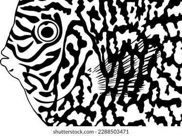 Artistic Motifs Pattern Inspired by Symphysodon or Discus Fish Skin, for decoration, ornate, background, website, wallpaper, fashion, interior, cover, animal print, or graphic design element