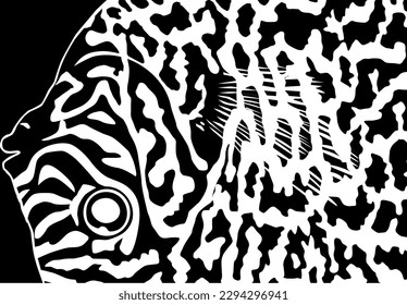 Artistic Motifs Pattern Inspired by Symphysodon or Discus Fish Skin, for decoration, ornate, background, website, wallpaper, fashion, interior, cover, animal print, or graphic design element