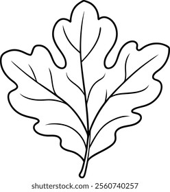 Artistic Oak Leaf Line Drawing Vector Illustration