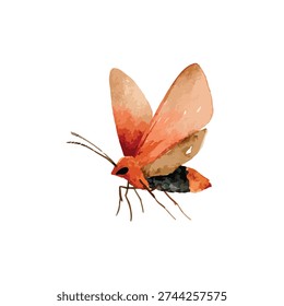Artistic orange moth insect with hand-painted style, perfect for nature-themed designs, educational content, and decorative projects.