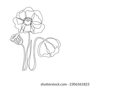Artistic outline on a white background with space for text. Continuous drawing of flowers with one line. poppies