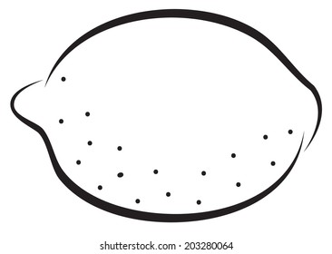 Artistic outline sketch of lemon. Vector illustration