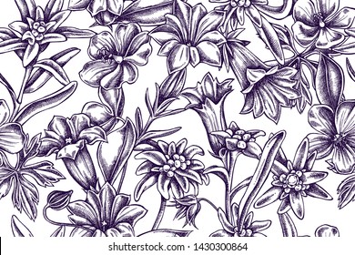 Artistic pattern with edelweiss, meadow geranium, gentiana