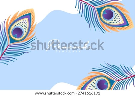 artistic peacock plume feather background vector