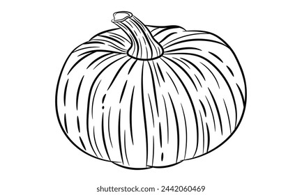 Artistic Pumpkin Drawings Set of Hand-Rendered Vector Illustrations, Isolated for Versatile Use