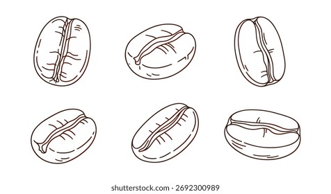 Uma renderização artística apresentando seis ilustrações distintas de grãos de café com contornos detalhados e ranhuras centrais.