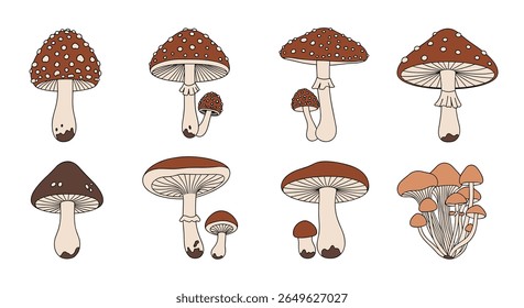 An artistic rendering of various mushroom species showcasing diverse cap shapes and stem structures