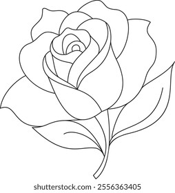 Artistic Rose Illustration Graceful Rose Line Art.