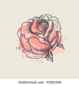 Artistic rose vector illustration