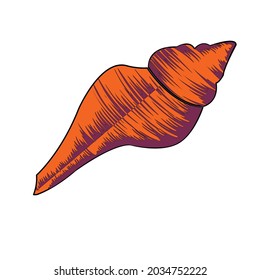 An artistic of sea shell on white isolated for clip art, t shirt design, ocean theme.
