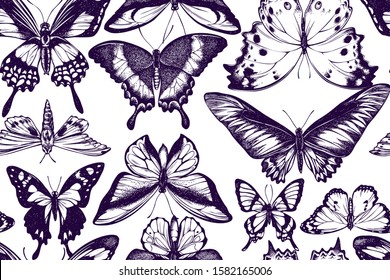 Artistic seamless pattern with ornithoptera croesus lydius, graphium weiskei, ambulyx pryeri, salamis parhassus, chorinea octauius, papilio palinurus, stichophthalma howqua, danaus chrysippus