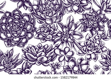 Artistic seamless pattern with succulent echeveria, succulent echeveria, succulent