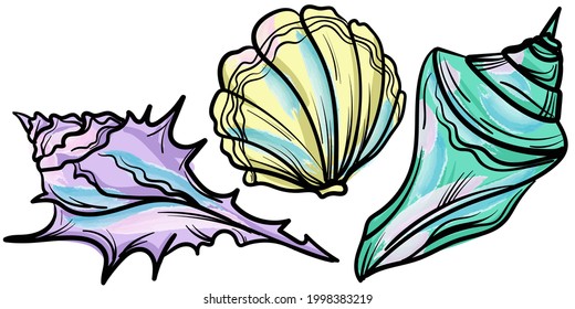 Artistic seashell illustration. Hand-drawn vector illustration. Line-art style drawing.