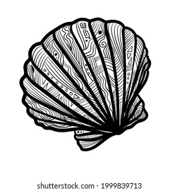 Artistic seashell illustration. Hand-drawn vector illustration. Line-art style drawing.