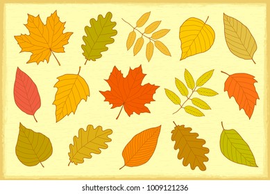 artistic set of decorative hand drawn colorful autumn leaves