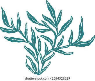 Artistic silhouette of seaweed. Hand drawn vector underwater plant printing for your business. Decorative art with algae isolated on white background. Seaweed vector logo. Ocean aesthetic wall art